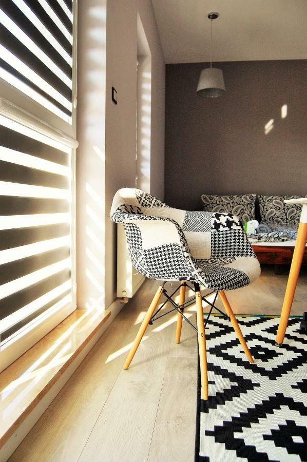 Gray Apartment Kielce