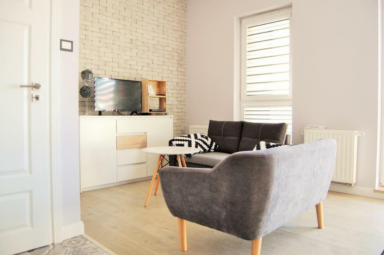 Gray Apartment Kielce