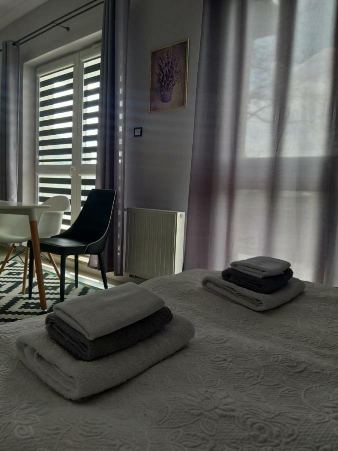 Gray Apartment Kielce
